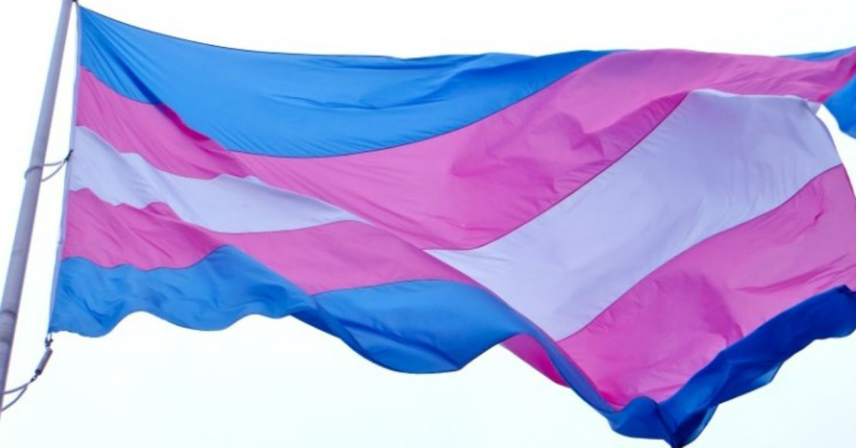 Bandeira Trans Fb Comunica Que Muda